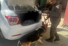 Drugs worth Rs 29.4 crore seized in Mizoram, one arrested