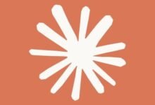 India ranks second globally in use of Claude.ai, largely for software development