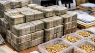 ED seizes Rs 2.63 crore in searches at 25 premises of sand mafia in Odisha