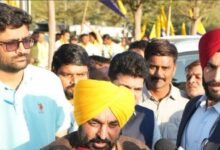 'How will democracy survive?': Mann urges EC to address SIR concerns