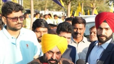 'How will democracy survive?': Mann urges EC to address SIR concerns