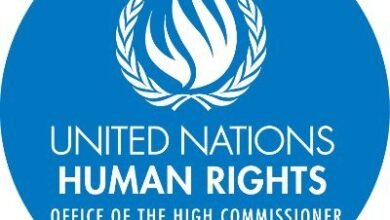 UN Human Rights, legal organisations slam sentencing of lawyers in Pakistan under PECA
