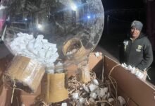 NCB unearths illegal narcotics-making unit in Jodhpur