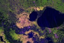 India-US NISAR radar image maps Mississippi Delta