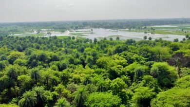 Delighted that Patna Bird Sanctuary, Chhari-Dhand are Ramsar Sites: PM Modi