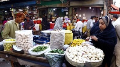 Pakistan's economy shifts from growth to survival amid shrinking purchasing power: Report