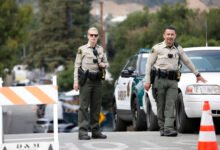 Drug seizure case in US fuels debate over immigrant truck driver licencing: Report