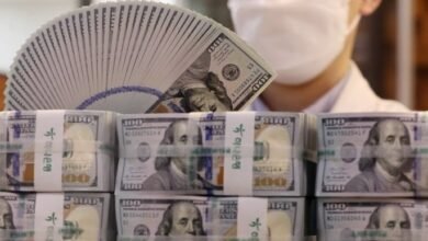 S. Korea borrows 2nd largest $113.65 billion in temporary loans from BOK in 2025