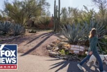 Faulkner gives special insight into Nancy Guthrie's quiet Arizona neighborhood (Video)