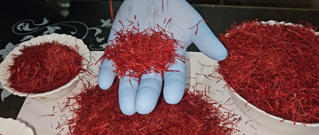 Seven J&K products get GI tag