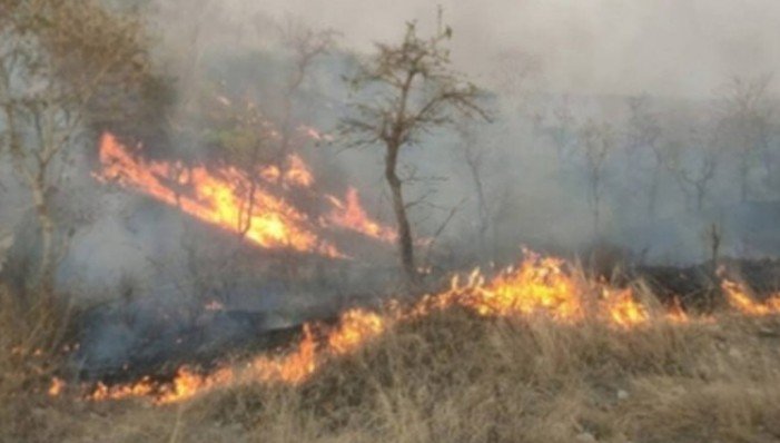 Firefight in Arunachal forests continues for fifth day