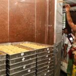 Tirupati laddu case: Andhra Pradesh constitutes one-man committee