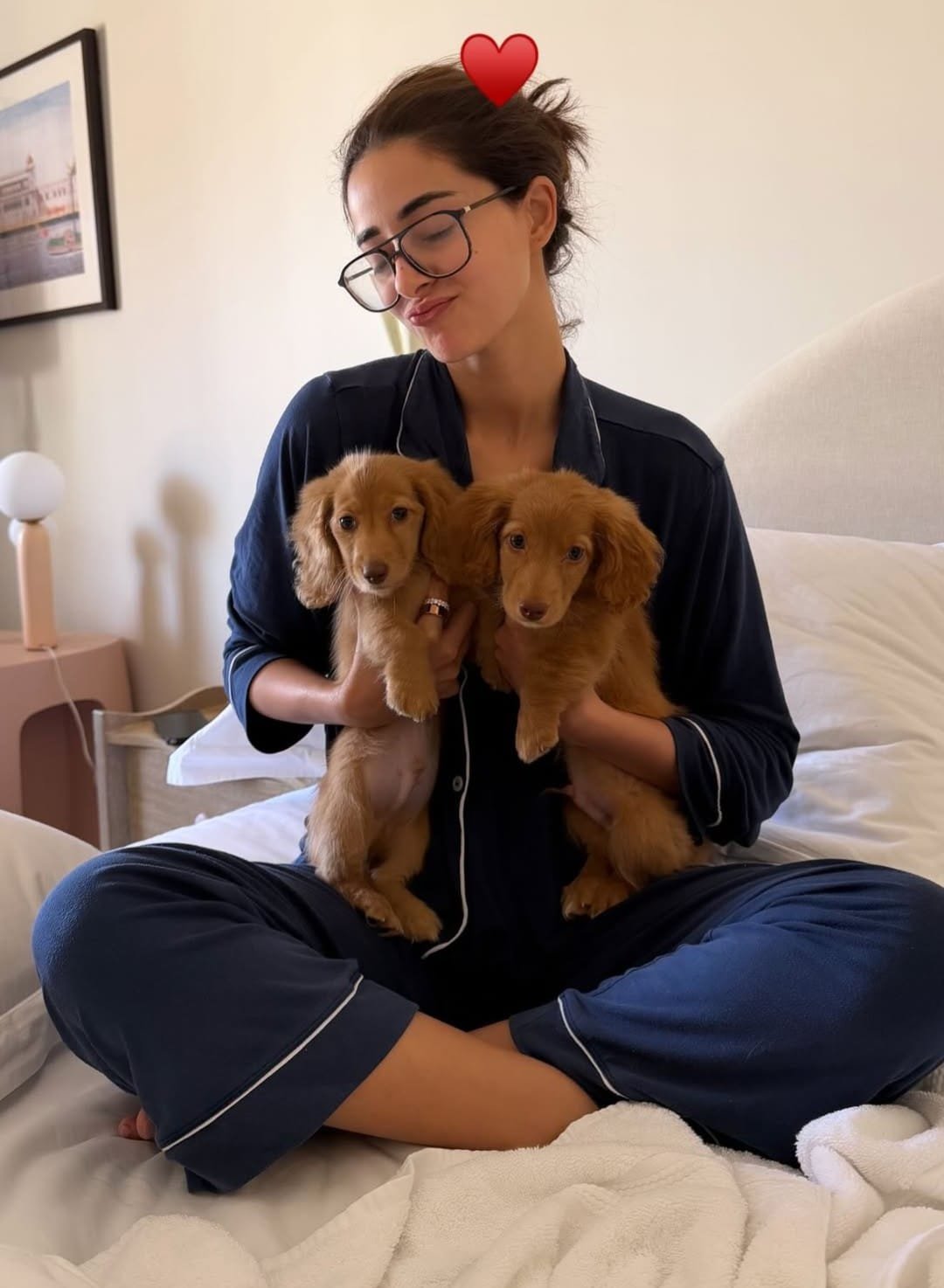 Ananya Panday introduces us to her new furry friends Honey & Thumper