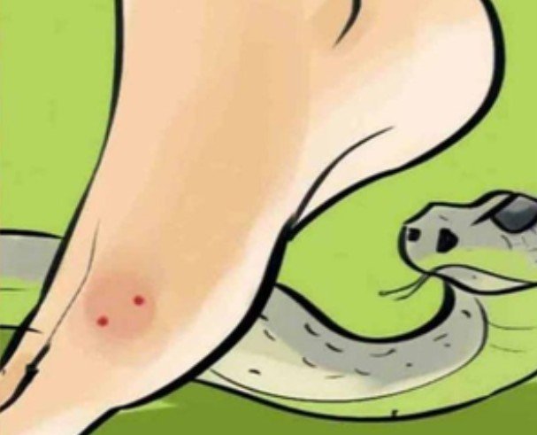 Gujarat to launch state-specific anti-venom from local snake poison to reduce deaths