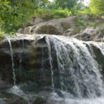 TN to develop Jawadhu hills as eco-tourism hub with glamping, camping facilities