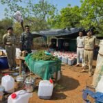 Koraput Police bust interstate hashish oil unit, seize contraband worth ₹225 crore