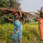 Centre releases over Rs 275 crore to boost rural governance in Jharkhand
