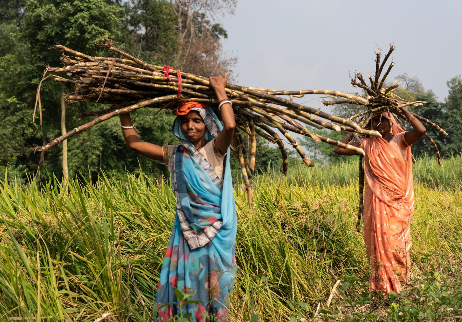 Centre releases over Rs 275 crore to boost rural governance in Jharkhand