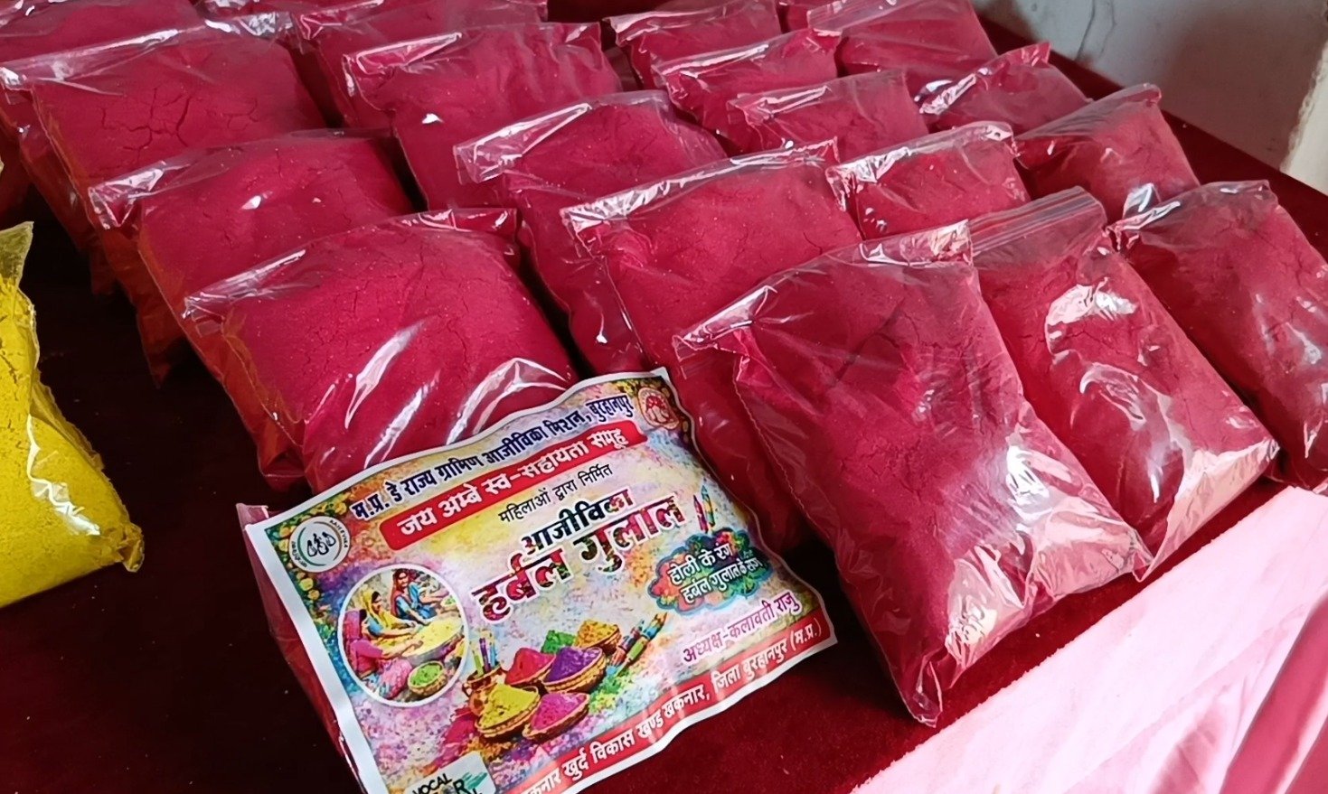 Herbal gulal and natural colours steal the show at Burhanpur's 'Aajeevika Holi Mela'