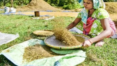 Wheat procurement in MP: Month-long Farmers’ registration at MSP from Feb 7
