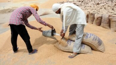 Centre withdraws wheat stock limit order as supply eases ahead of festive season