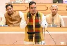 Govt will bring legislation to protect Khejri tree: Rajasthan CM