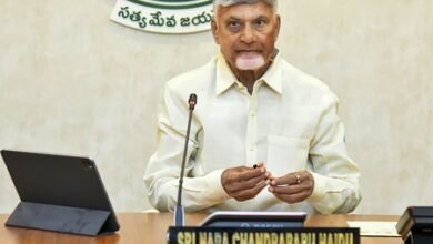 Ghee made with bathroom cleaners used in Tirupati laddu, says Andhra CM