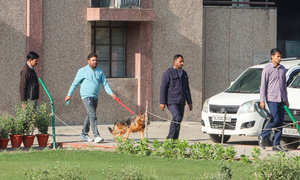 Several Delhi schools receive bomb threats, cops launch probe