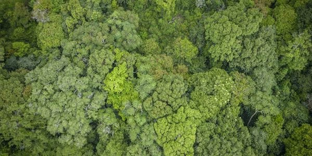 National Biodiversity Authority disburses Rs 45 lakh benefit for commercial use of resources