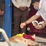 Gujarat’s first CNG-powered dog crematorium inaugurated in Ahmedabad