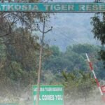 Village relocation in Satkosia Tiger Reserve under scrutiny: OHRC orders inquiry committee