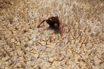 Maha forms task force to curb farmer suicides